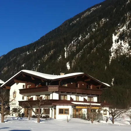 Hotel-garni Almhof 3*
