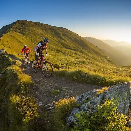 Гостьовий будинок Hotel-garni Almhof Майргофен