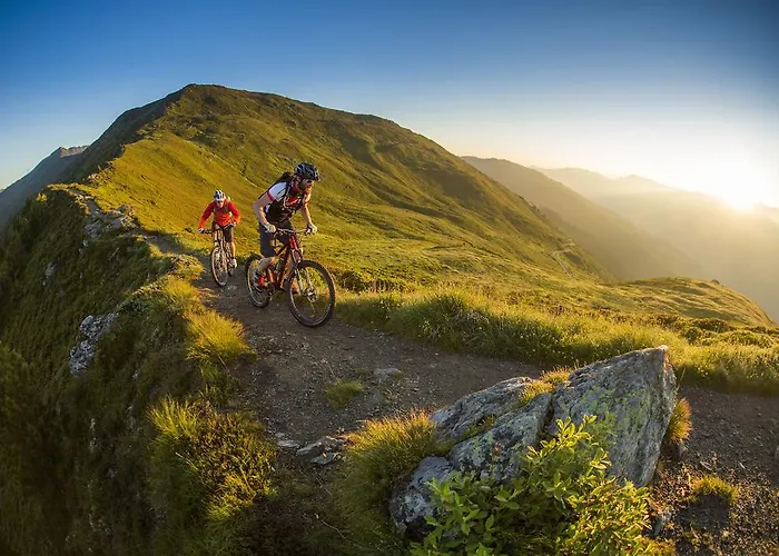 Гостьовий будинок Hotel-garni Almhof Майргофен